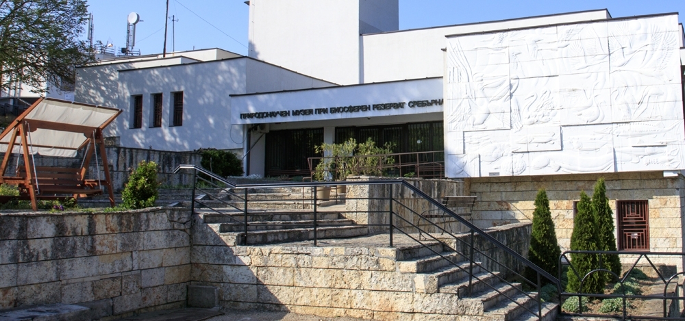 Природонаучен музей „Сребърна